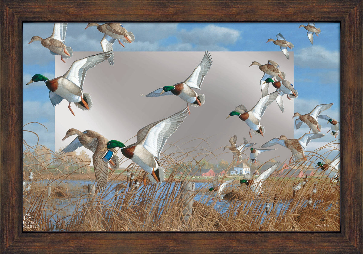 Vic's Pond - 16" x 24" Mirror Framed Barnwood - Official Ducks Unlimited Art