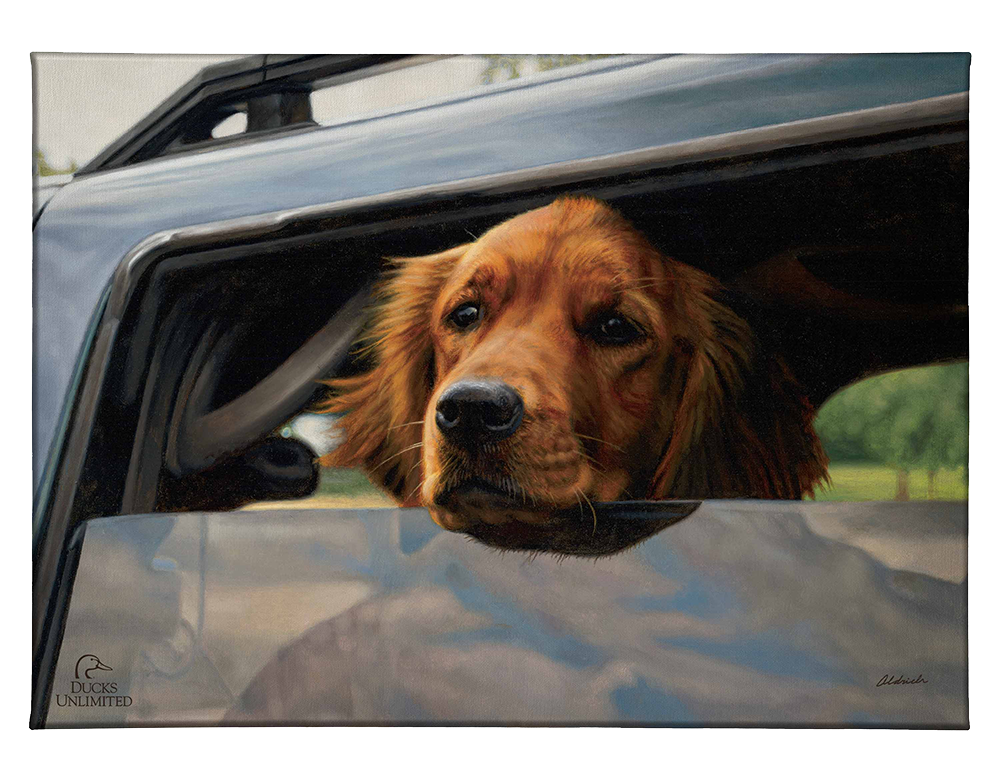 What's the Hold Up - Gallery Wrapped Canvas - Official Ducks Unlimited Art