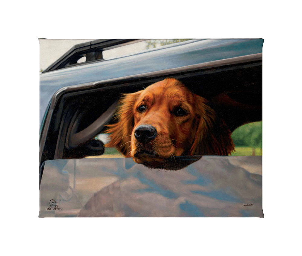 What's the Hold Up - Gallery Wrapped Canvas - Official Ducks Unlimited Art