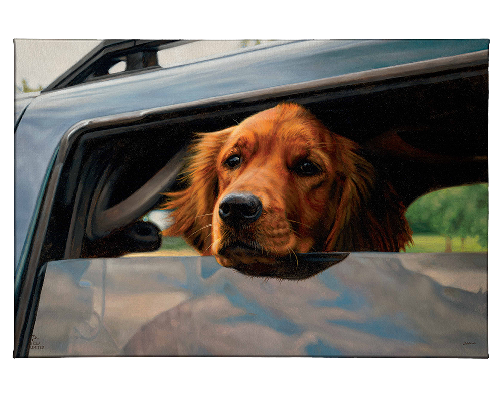 What's the Hold Up - Gallery Wrapped Canvas - Official Ducks Unlimited Art