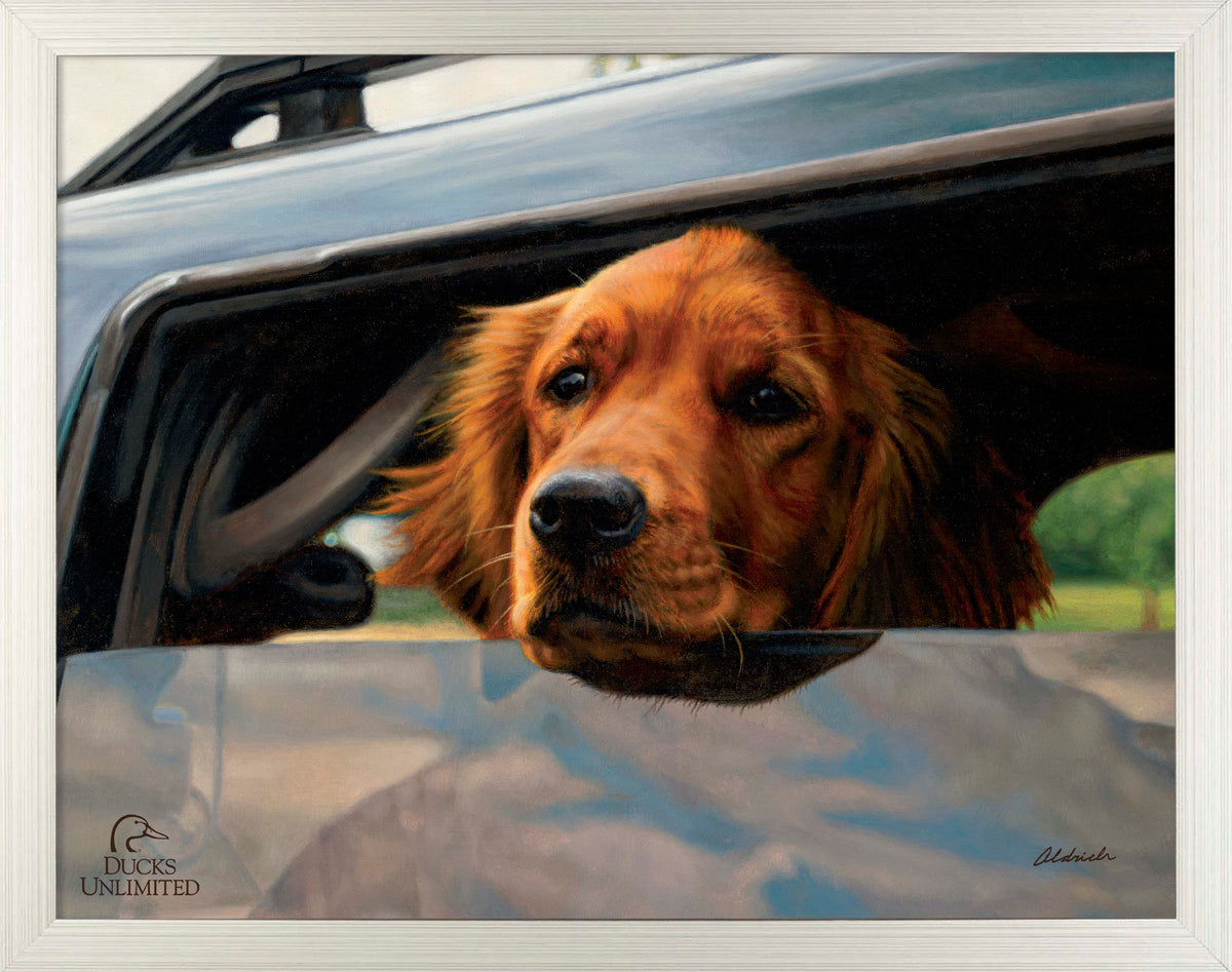 What's the Hold Up - Art Prints - Official Ducks Unlimited Art