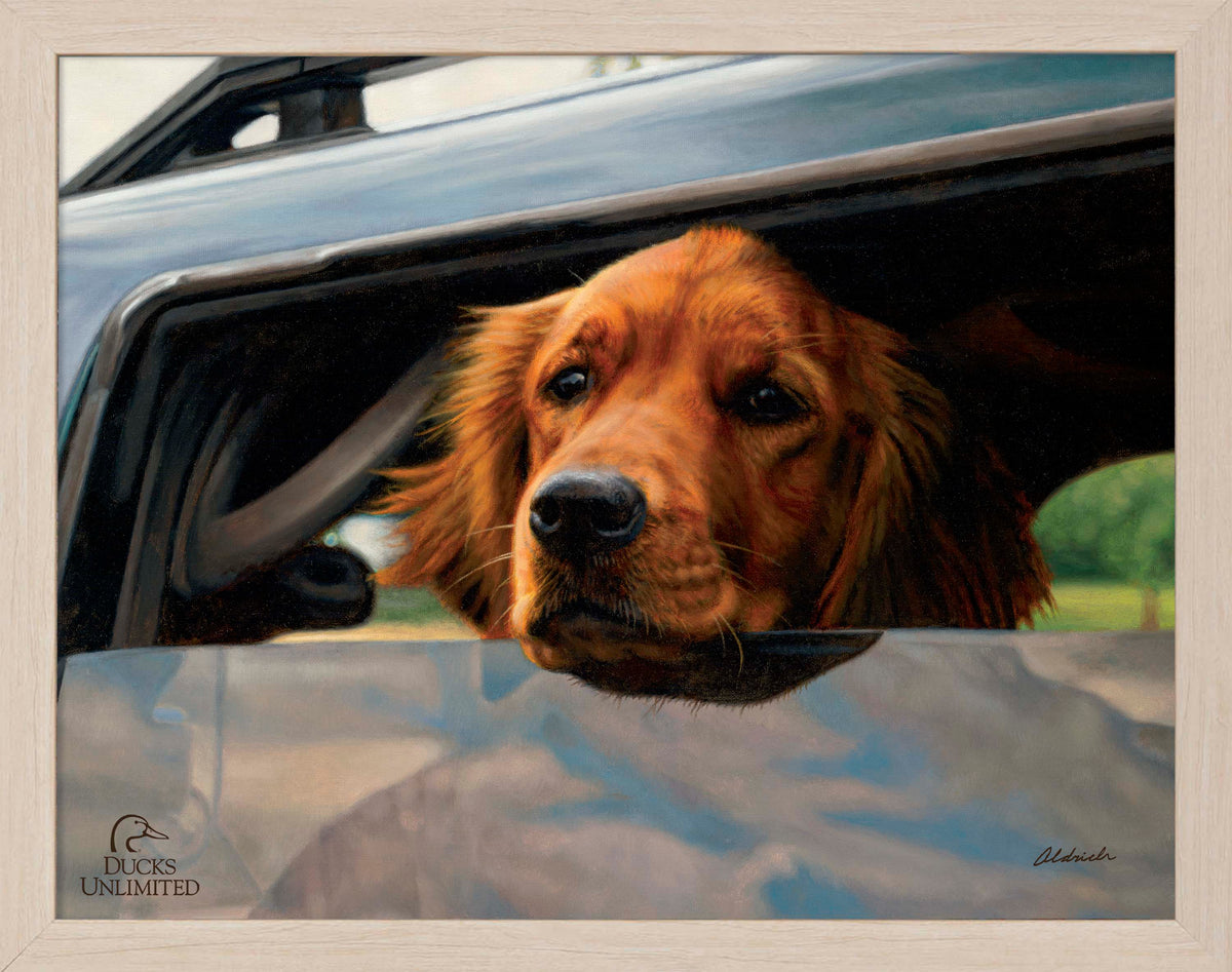 What's the Hold Up - Art Prints - Official Ducks Unlimited Art