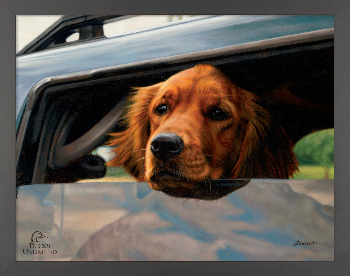 What's the Hold Up - Art Prints - Official Ducks Unlimited Art