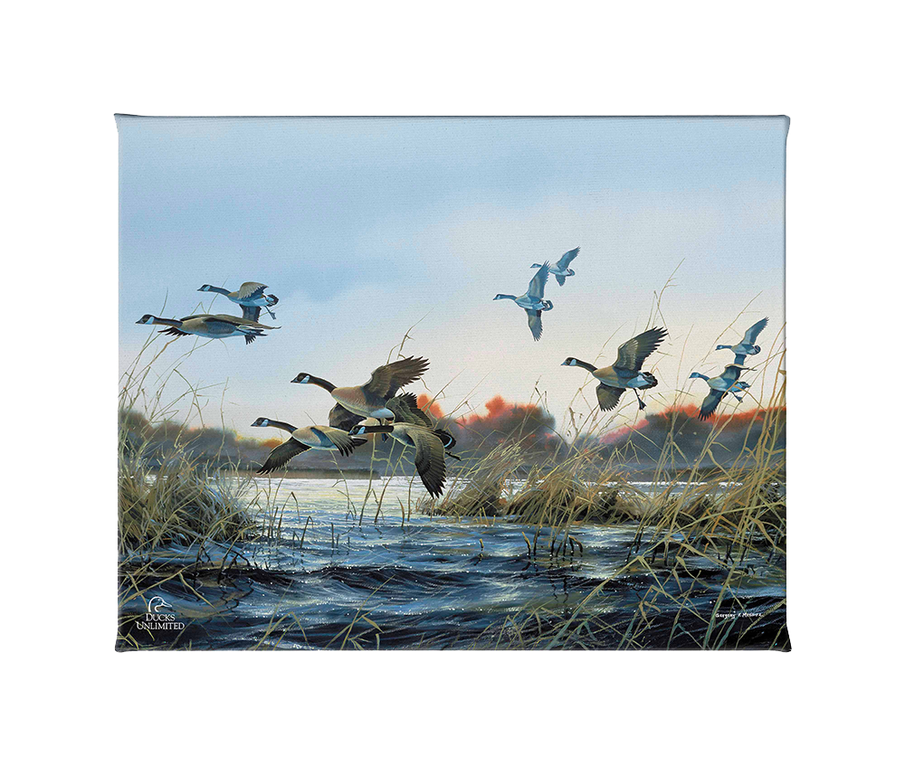 Wind Walkers - Gallery Wrapped Canvas - Official Ducks Unlimited Art