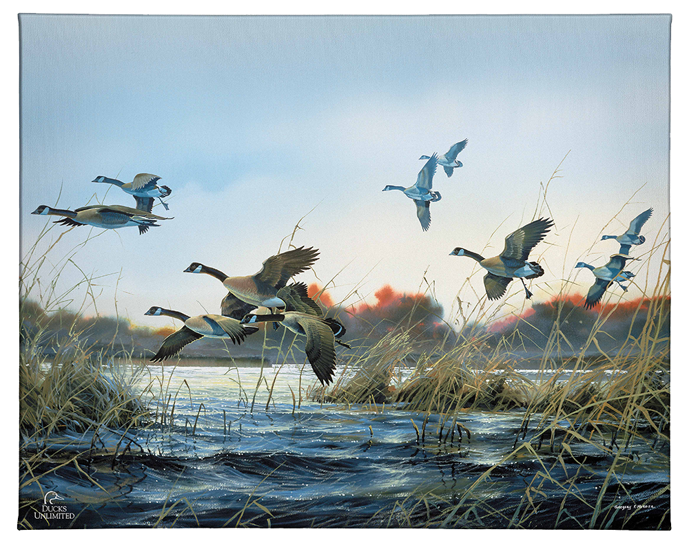Wind Walkers - Gallery Wrapped Canvas - Official Ducks Unlimited Art