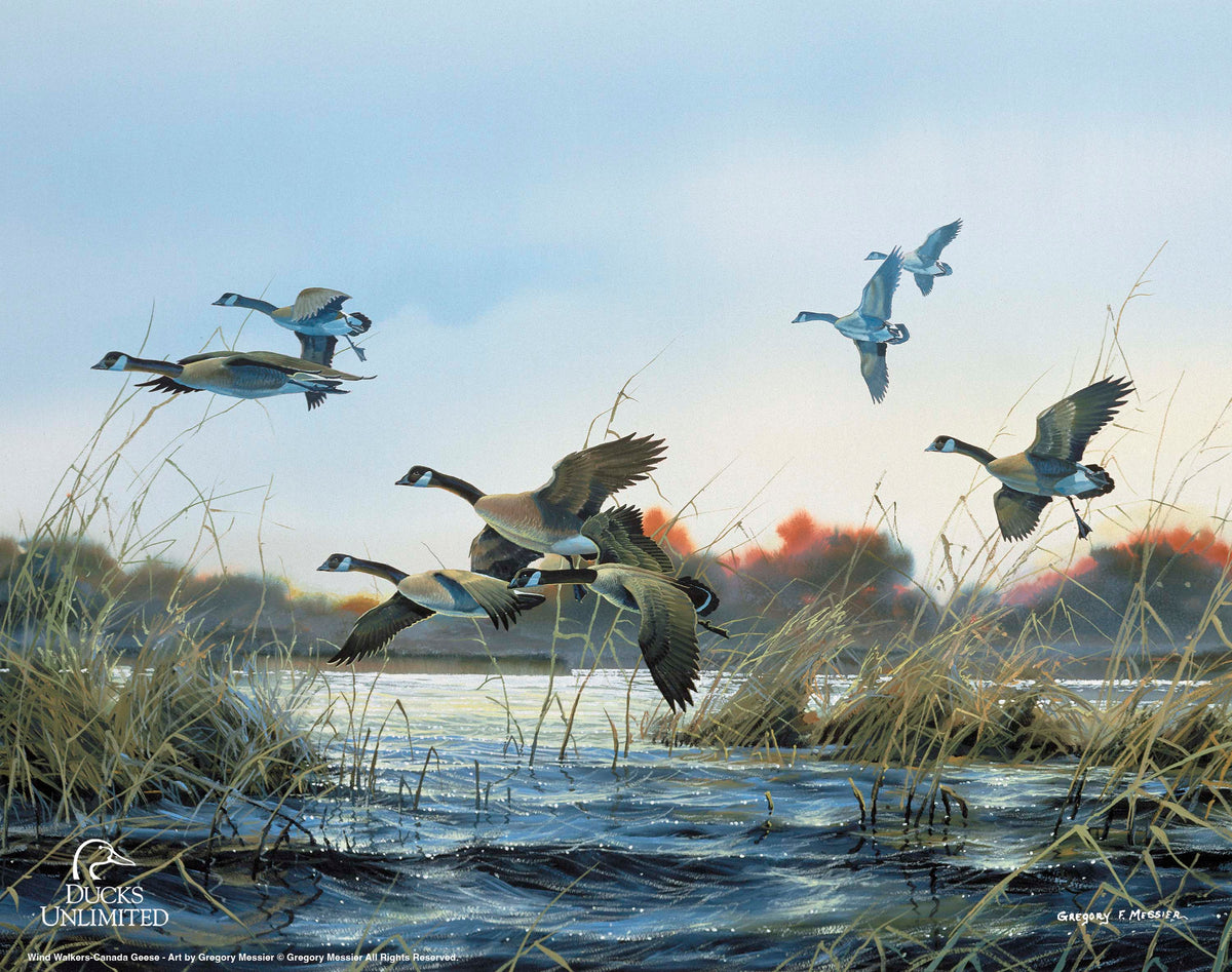 Wind Walkers - Art Prints - Official Ducks Unlimited Art