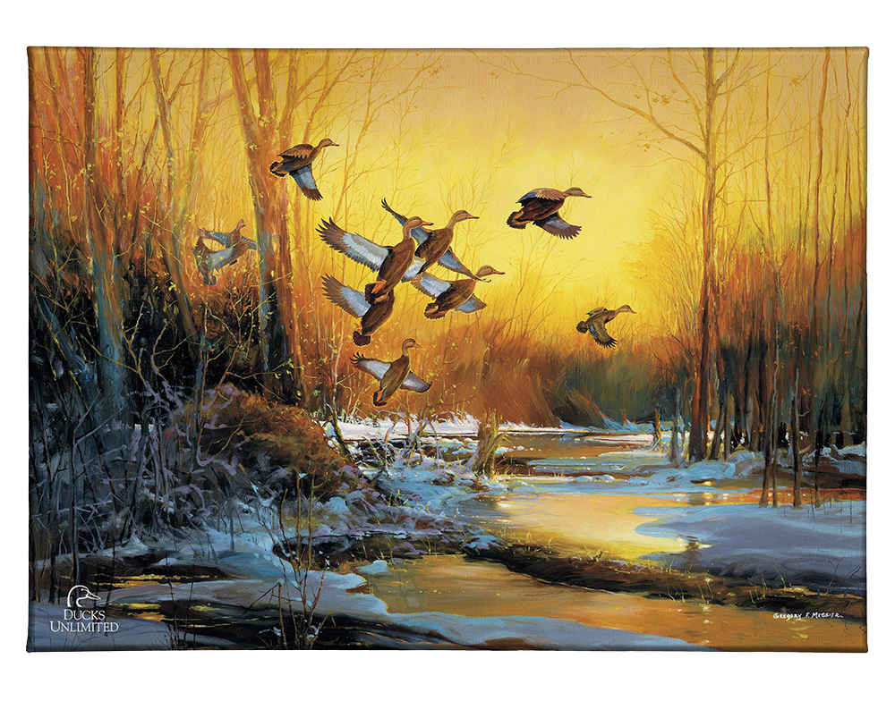 Winter Blacks - Gallery Wrapped Canvas - Official Ducks Unlimited Art