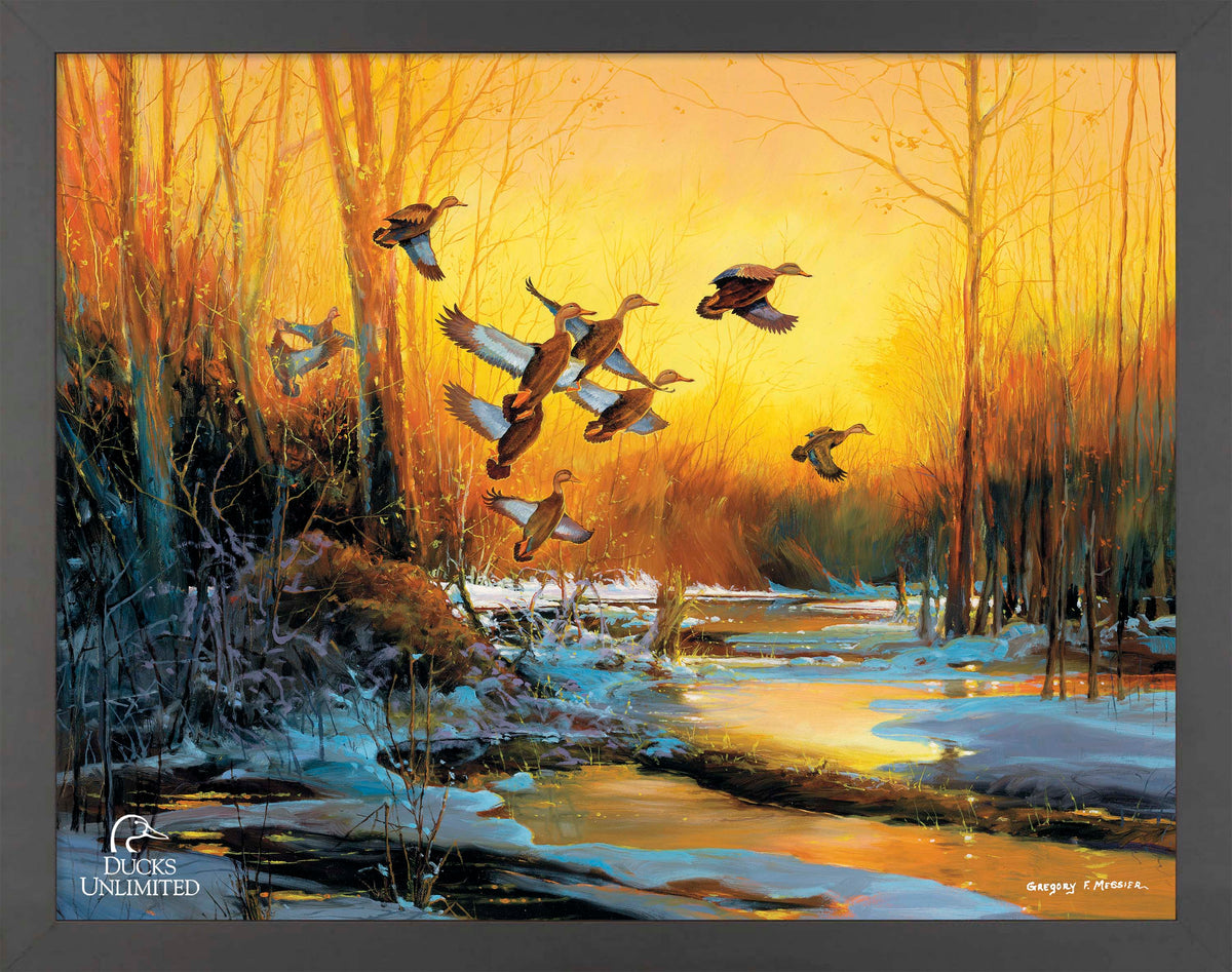 Winter Blacks - Art Prints - Official Ducks Unlimited Art