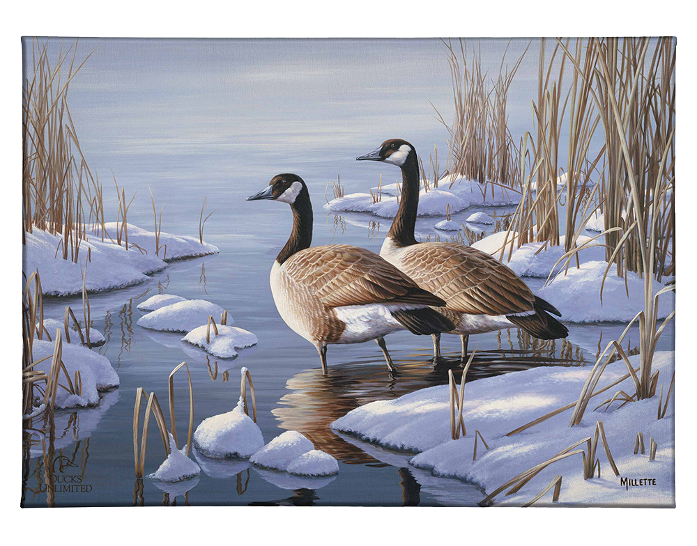 Winter Dawn - Gallery Wrapped Canvas - Official Ducks Unlimited Art