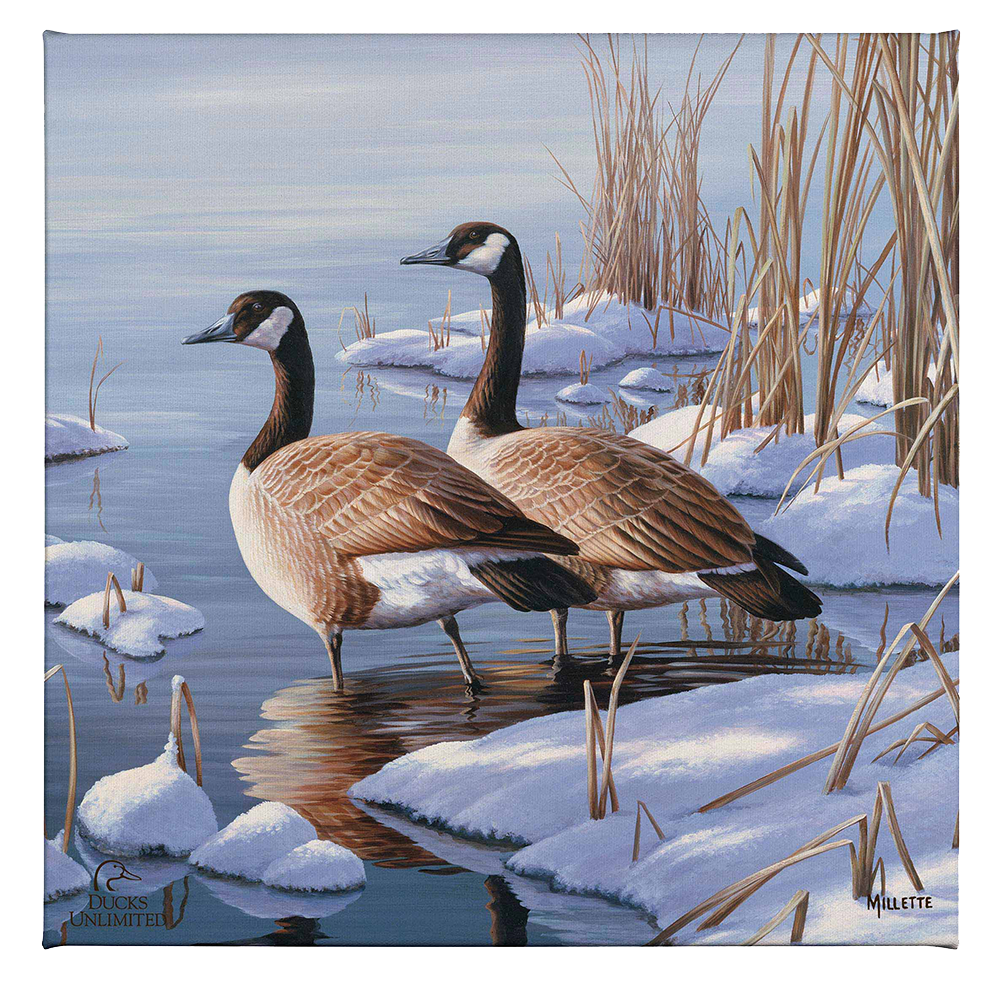 Winter Dawn - Gallery Wrapped Canvas - Official Ducks Unlimited Art
