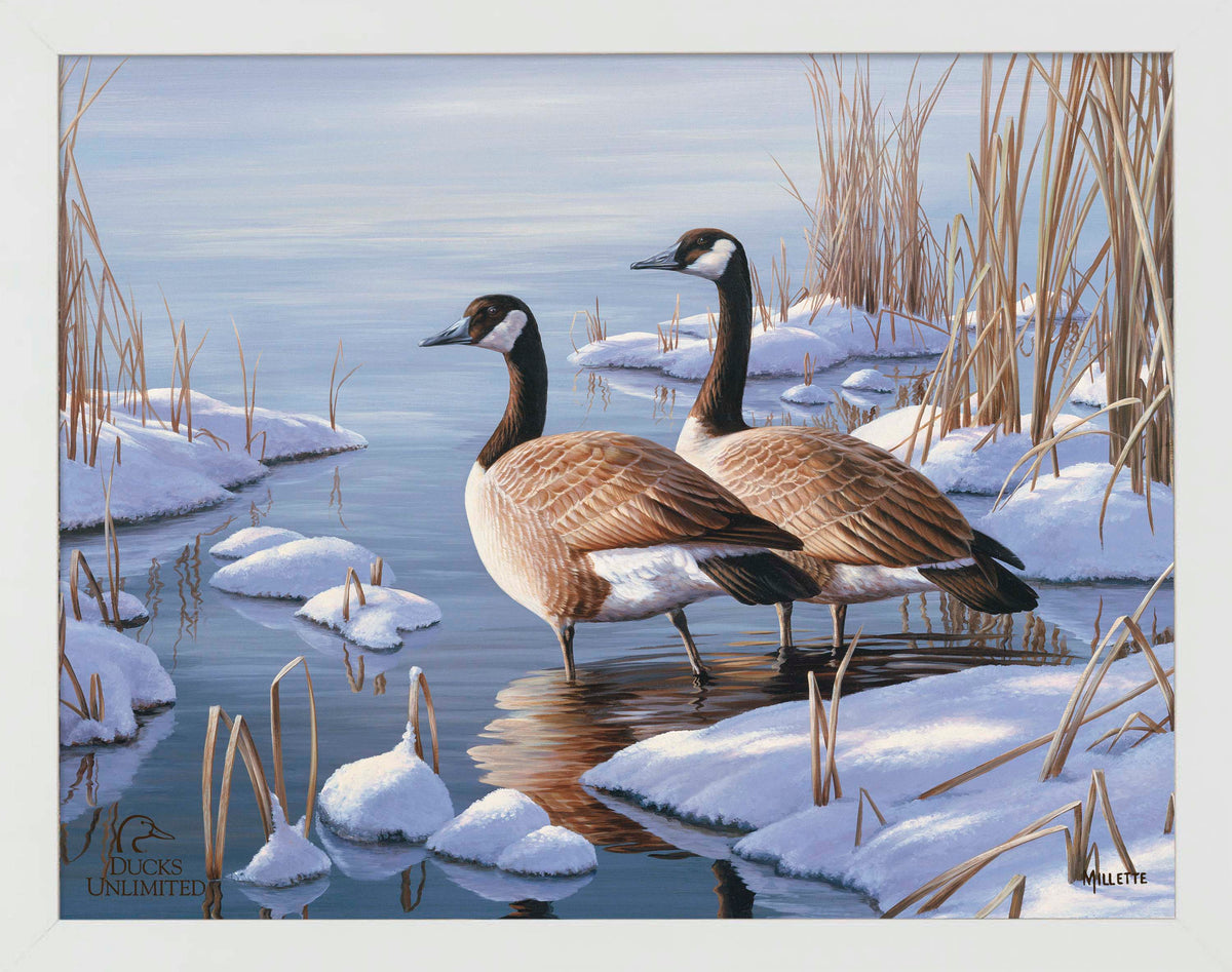 Winter Dawn - Art Prints - Official Ducks Unlimited Art