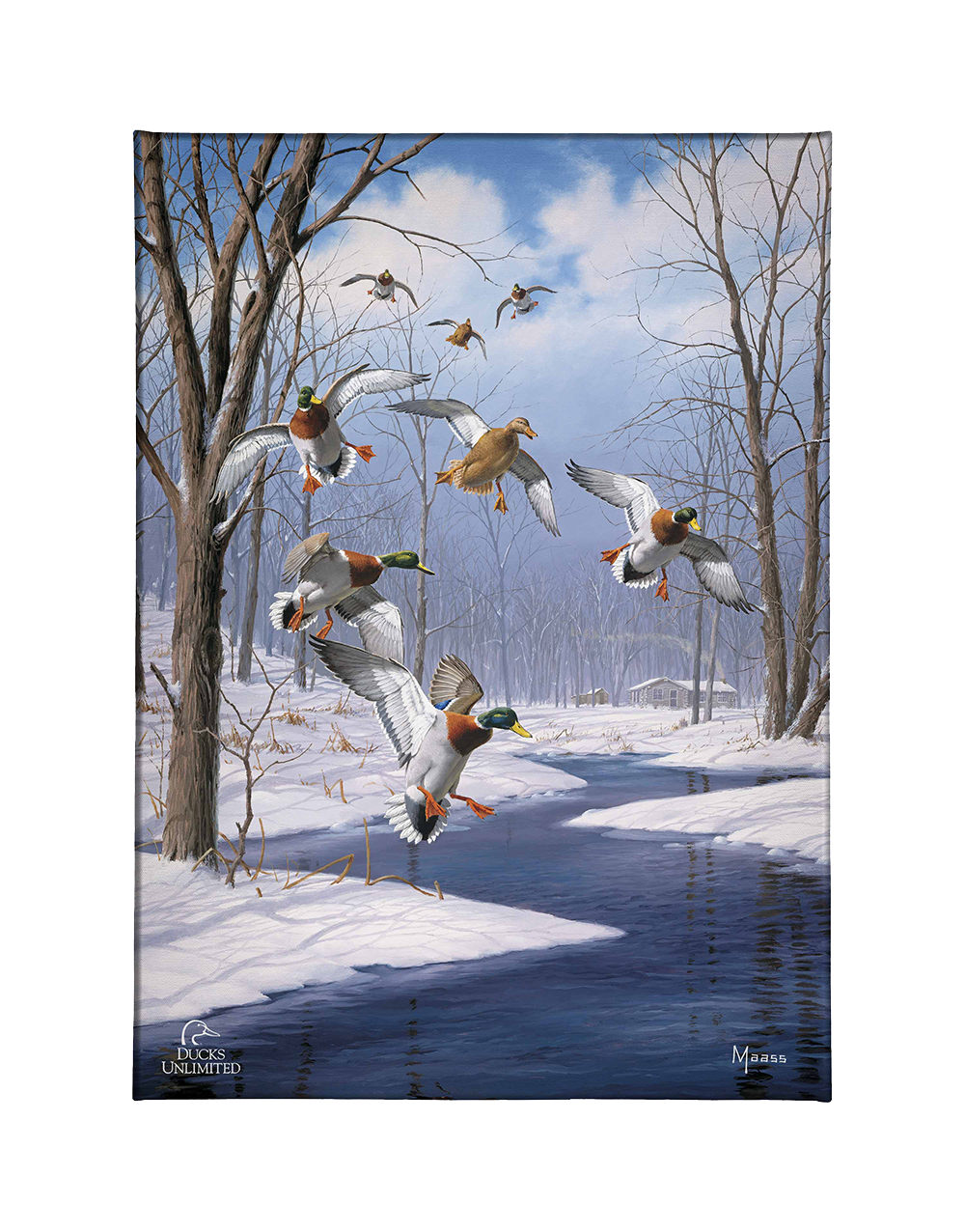 Winter Wonder- Mallards - Gallery Wrapped Canvas - Official Ducks Unlimited Art