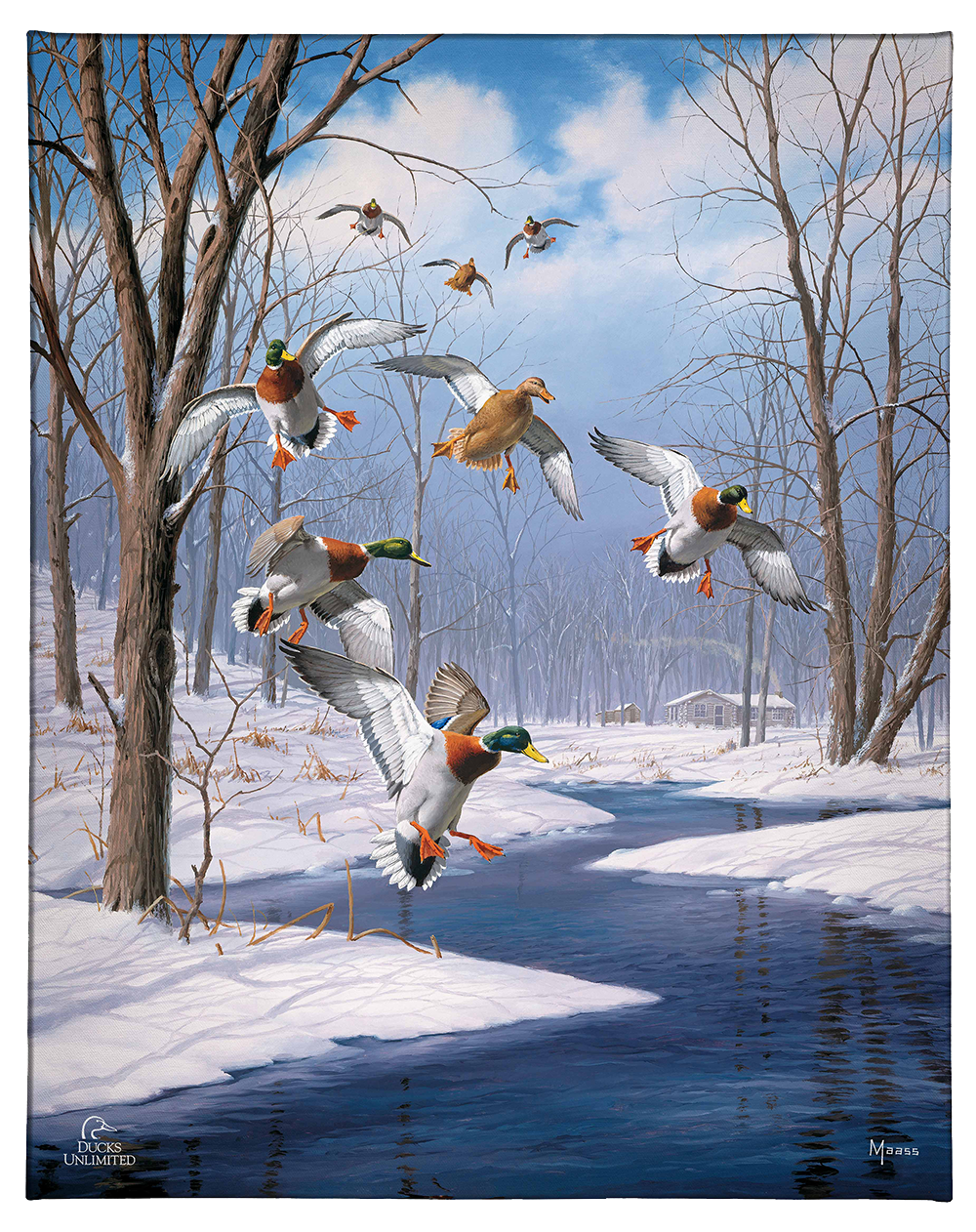 Winter Wonder- Mallards - Gallery Wrapped Canvas - Official Ducks Unlimited Art