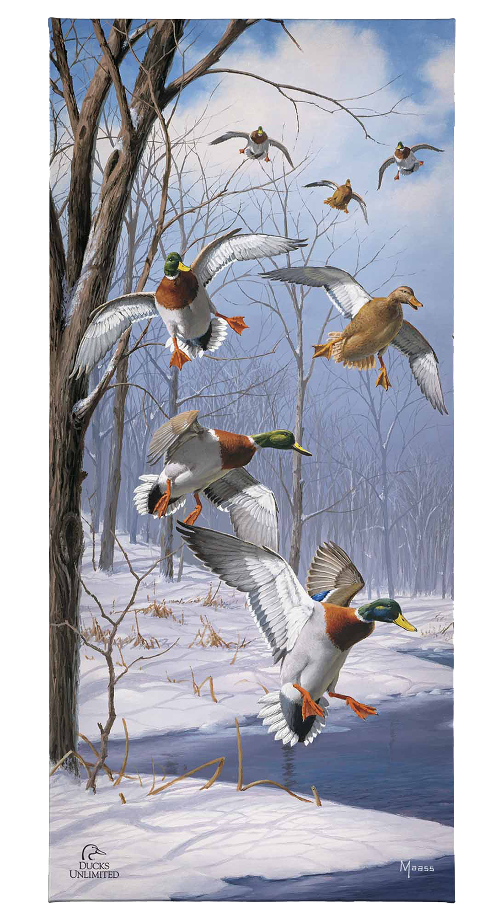 Winter Wonder- Mallards - Gallery Wrapped Canvas - Official Ducks Unlimited Art