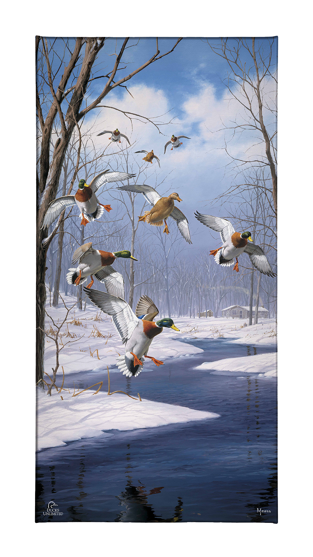Winter Wonder- Mallards - Gallery Wrapped Canvas - Official Ducks Unlimited Art