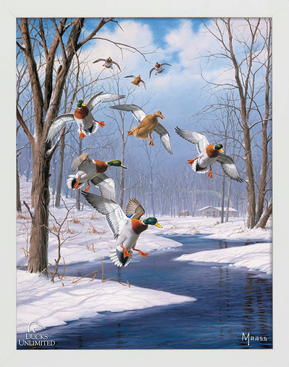 Winter Wonder- Mallards - Art Prints - Official Ducks Unlimited Art