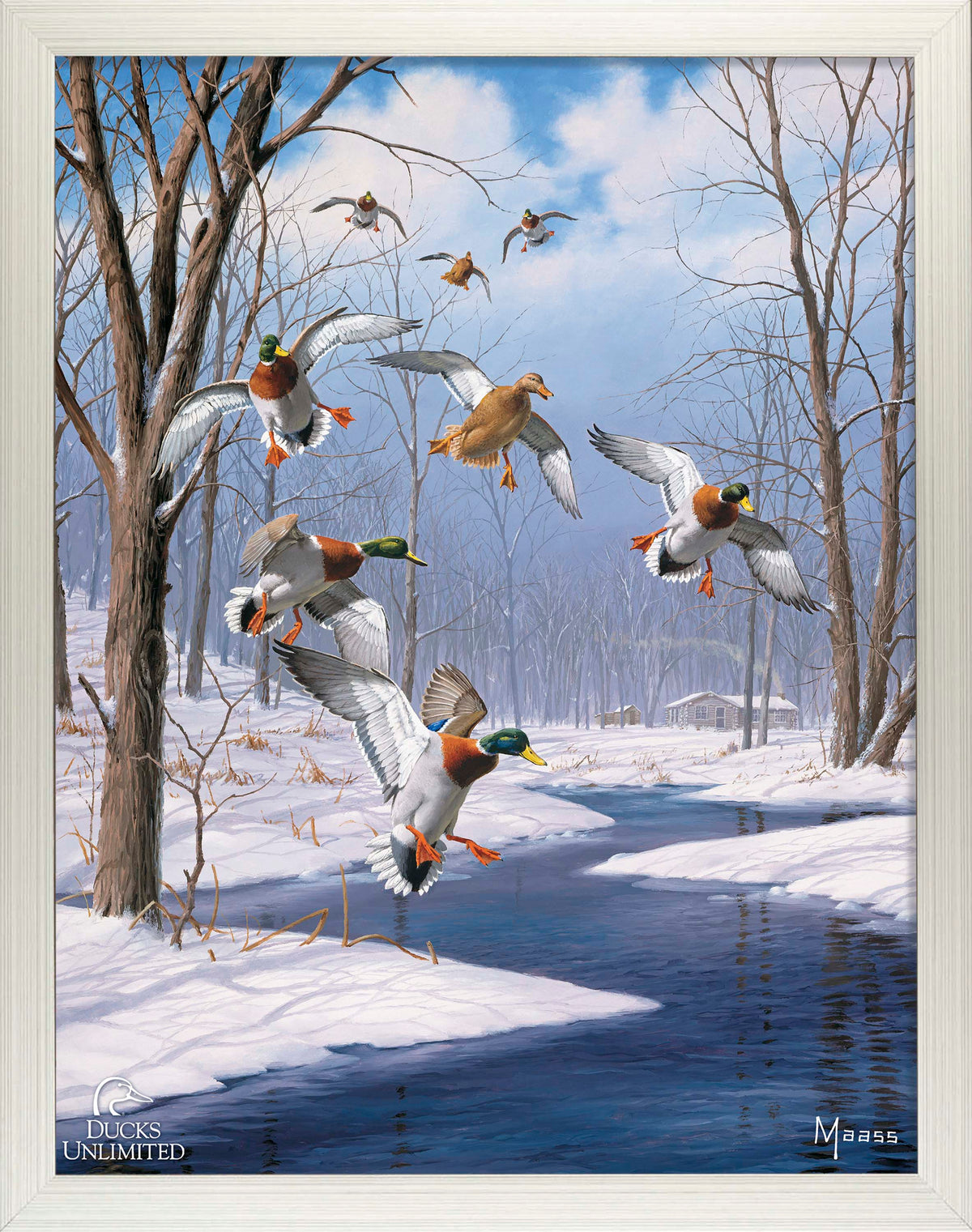 Winter Wonder- Mallards - Art Prints - Official Ducks Unlimited Art