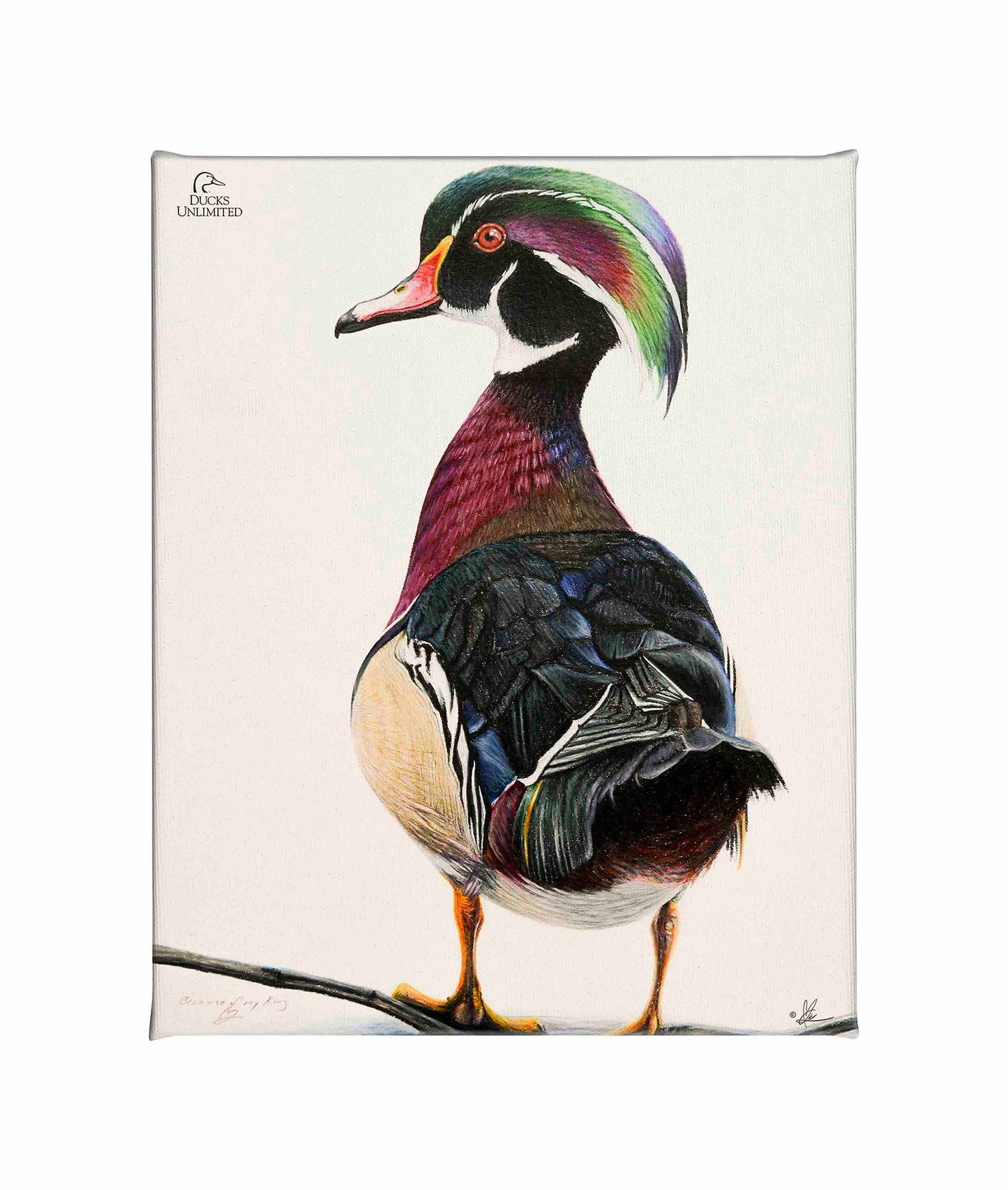 Woody Gallery Wrapped Canvas - Official Ducks Unlimited Art