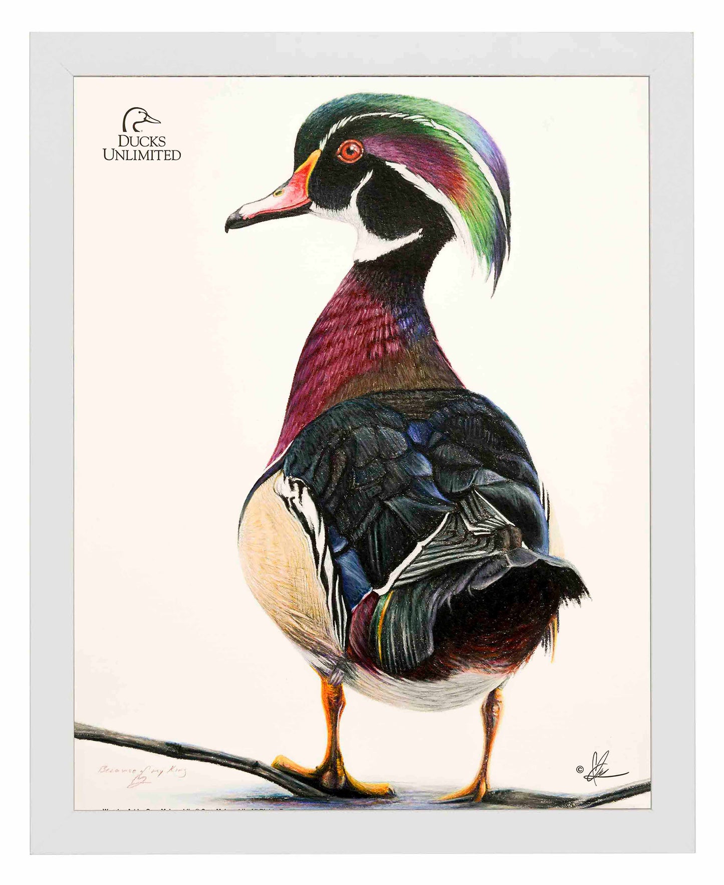 Woody Art Prints - Official Ducks Unlimited Art