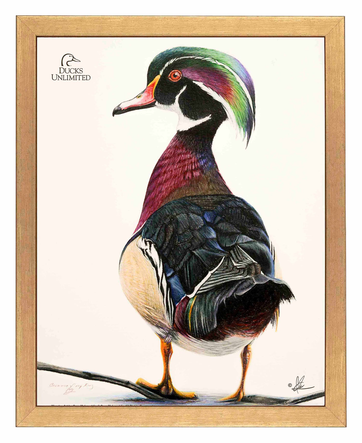 Woody Art Prints - Official Ducks Unlimited Art