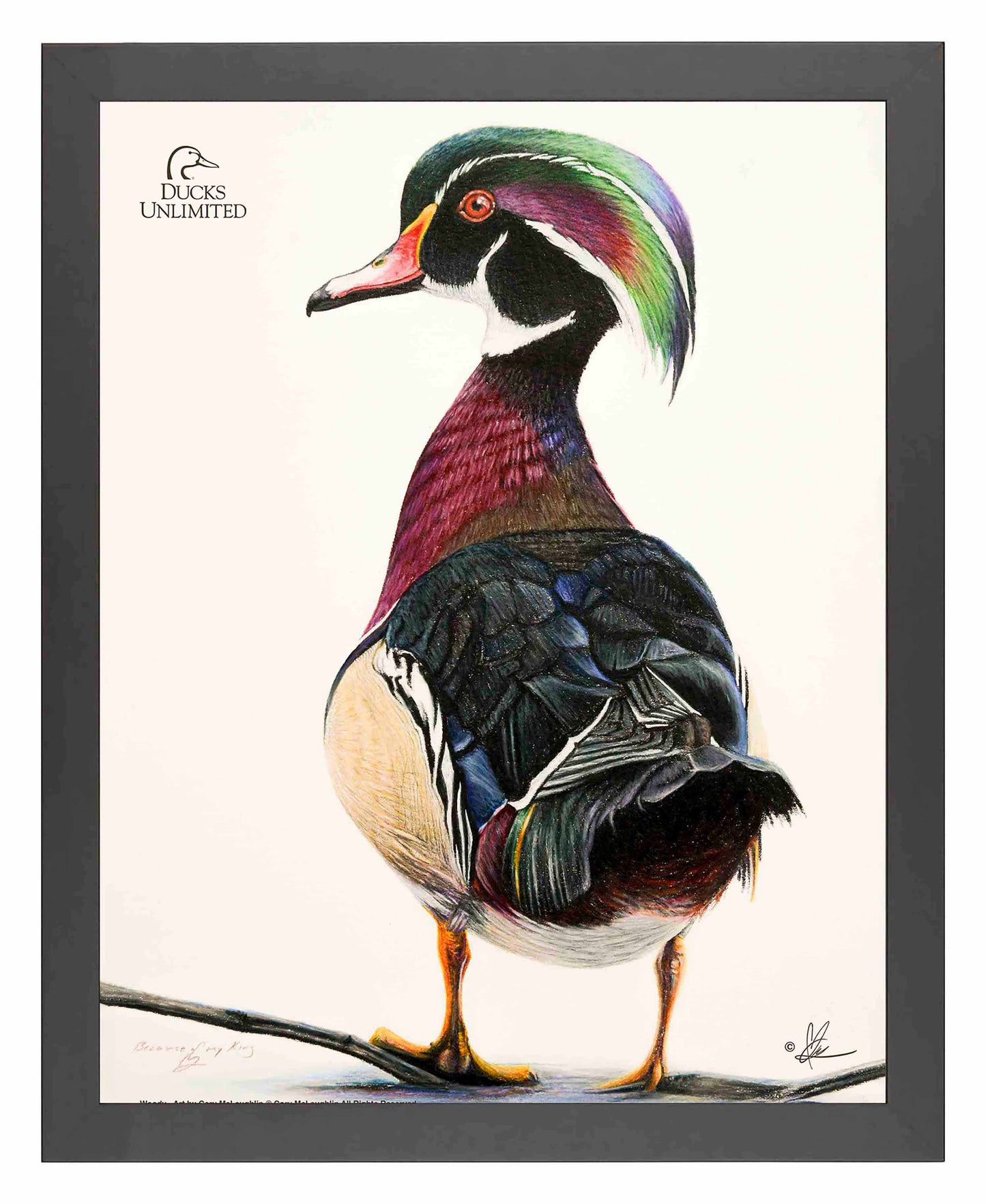 Woody Art Prints - Official Ducks Unlimited Art