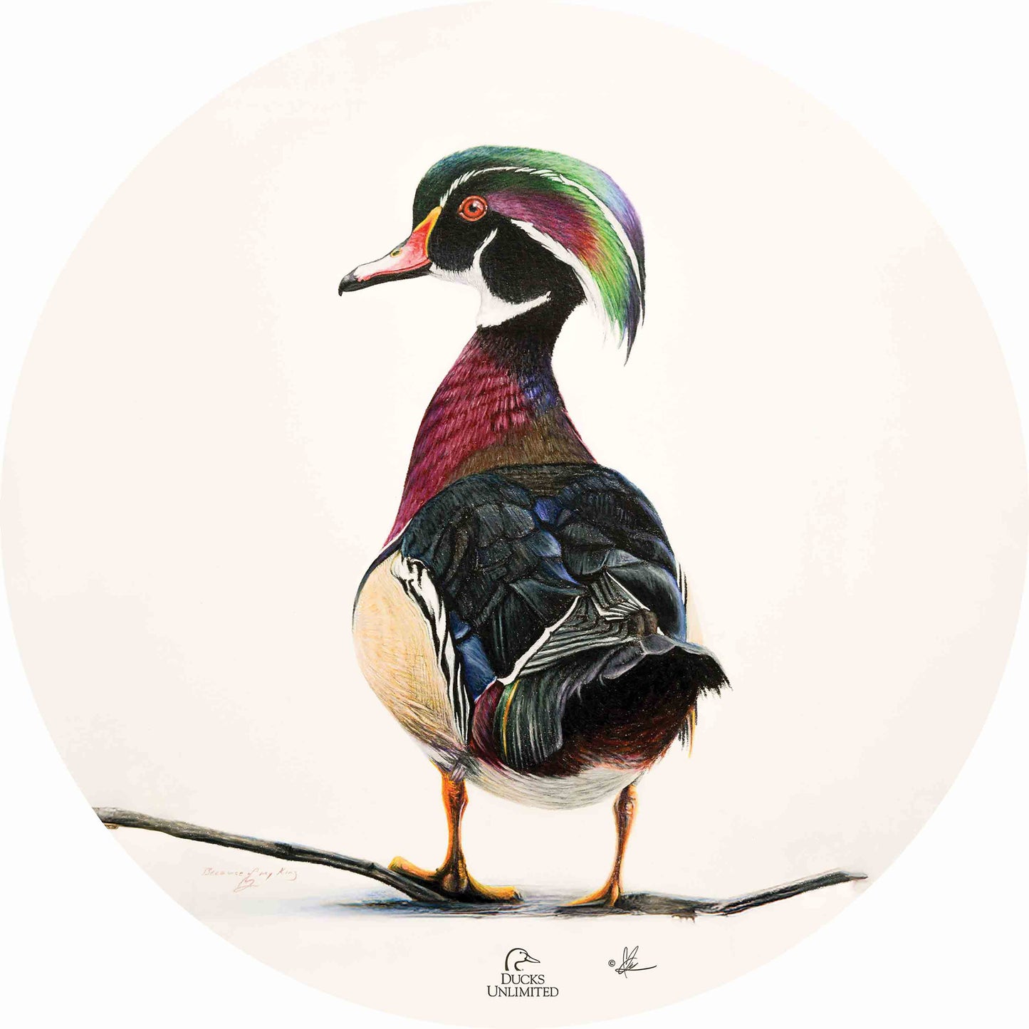Woody 21" Round Wood Sign - Official Ducks Unlimited Art