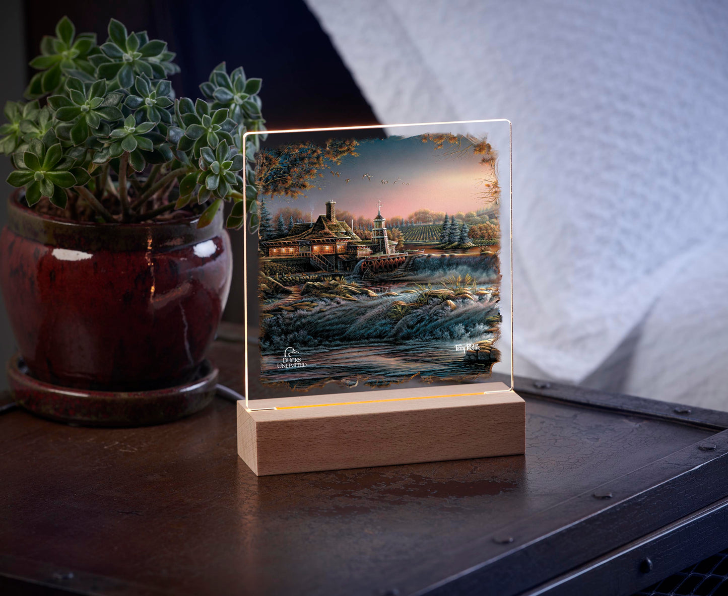 Guardian of Conservation  Acrylic Night Light - Official Ducks Unlimited Art