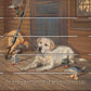 Bountiful Day Black Lab "Raised to retrieve. Born to protect."  18" x 22" Pallet Wall Art - Official Ducks Unlimited Art