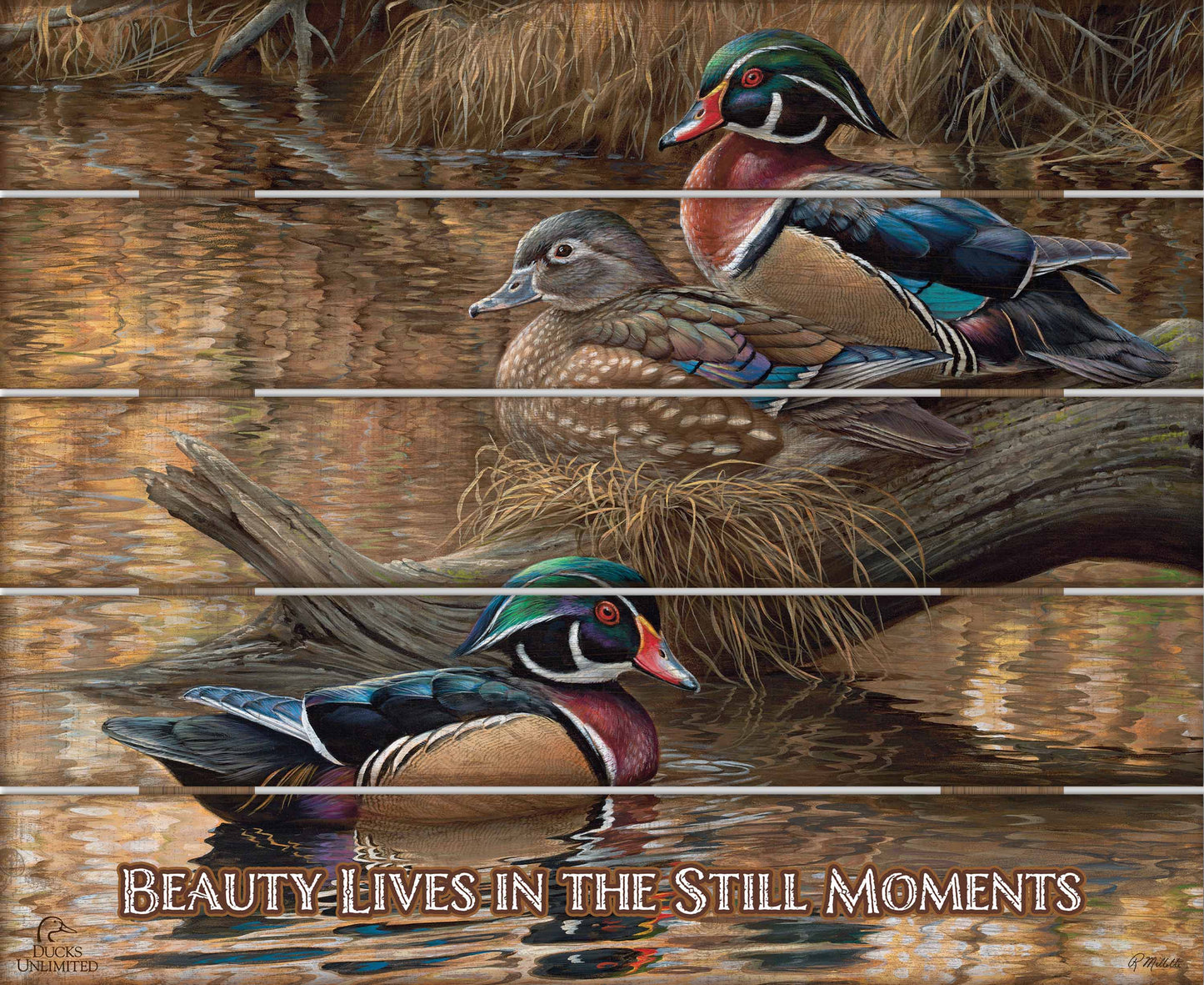 Sitting Pretty  Wood Ducks "Beauty Lives in the Still Moments"  18" x 22" Pallet Wall Art - Official Ducks Unlimited Art