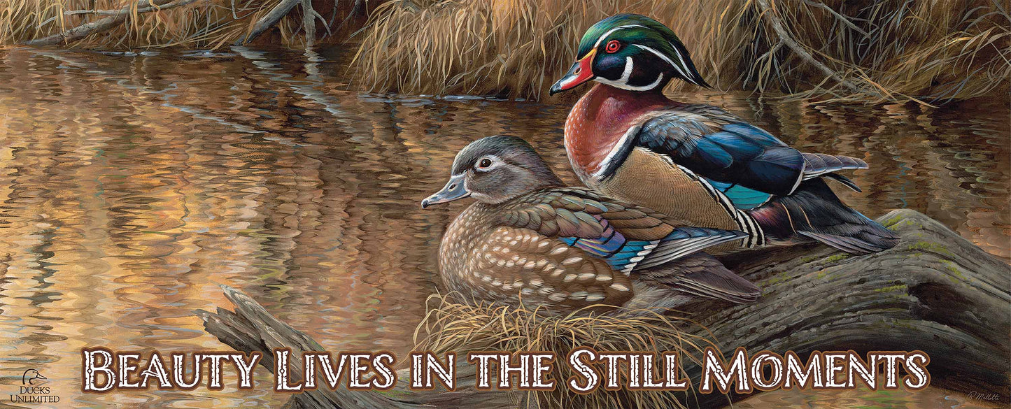 Sitting Pretty  Wood Ducks "Beauty Lives in the Still Moments"  12" x 30" Wood Sign - Official Ducks Unlimited Art