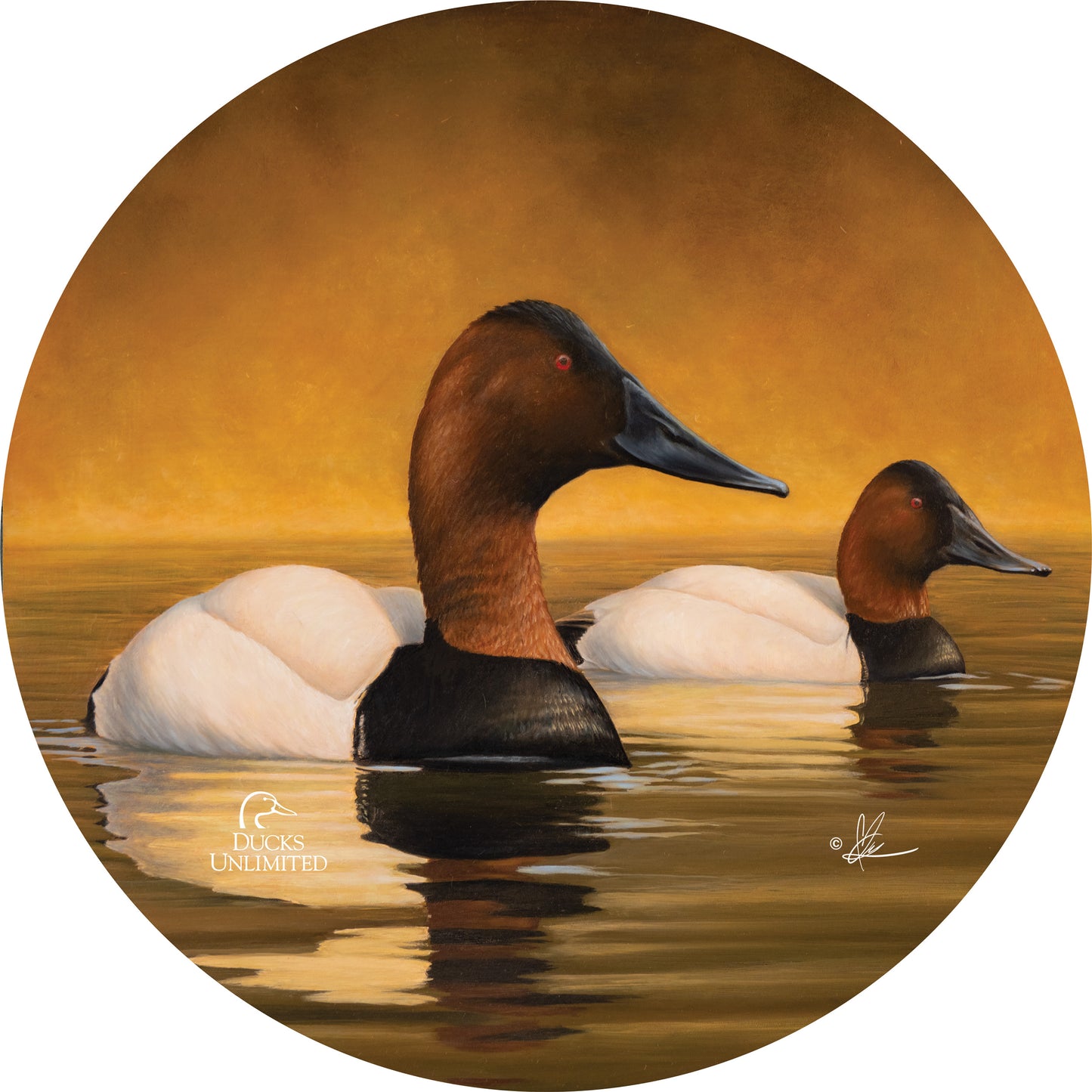 Canvas Back "Still Water. Timeless Birds." 21" Round Wood Sign - Official Ducks Unlimited Art