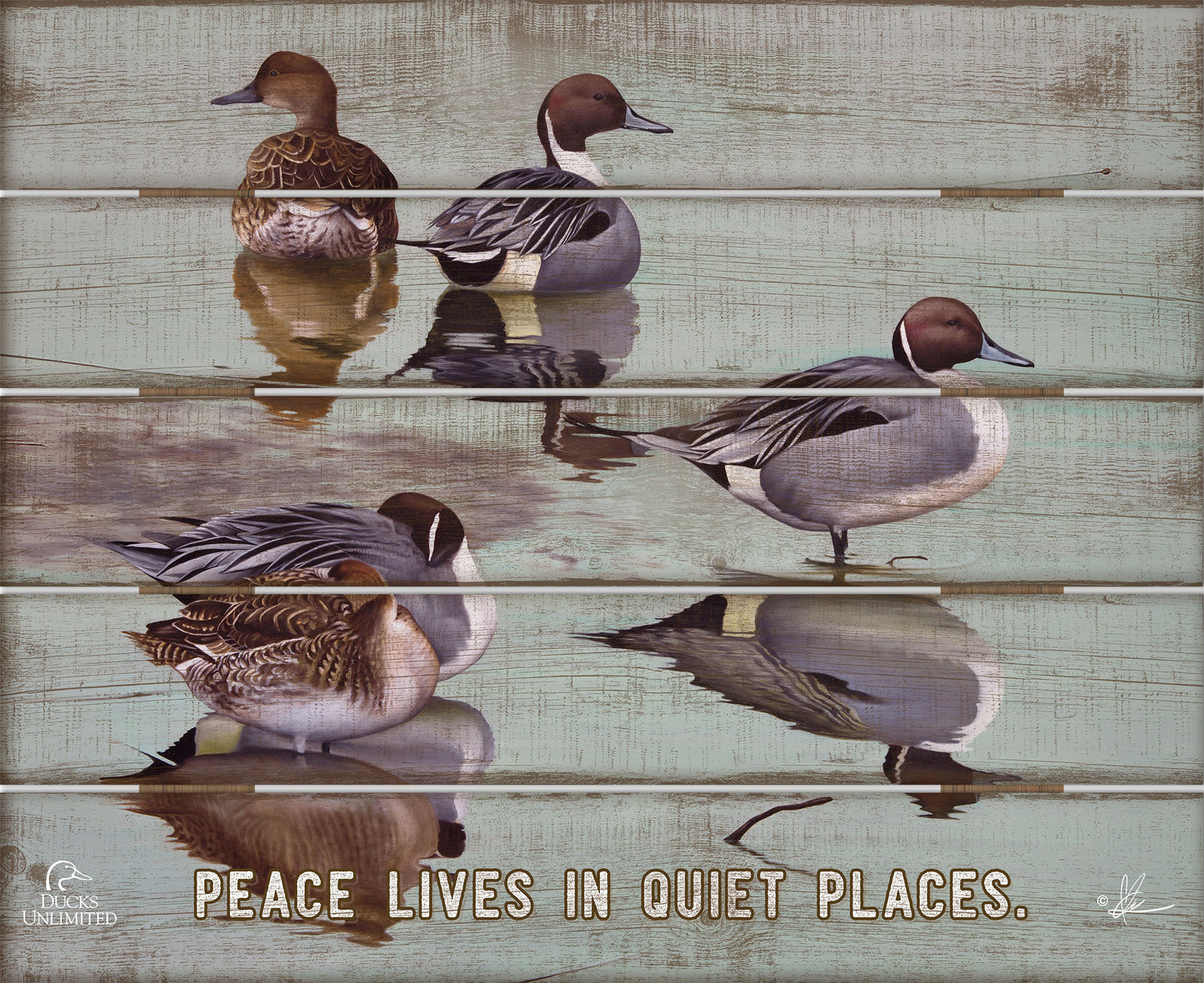 Overcast "Peace Lives in Quiet Places." 18" x 22" Pallet Wall Art - Official Ducks Unlimited Art