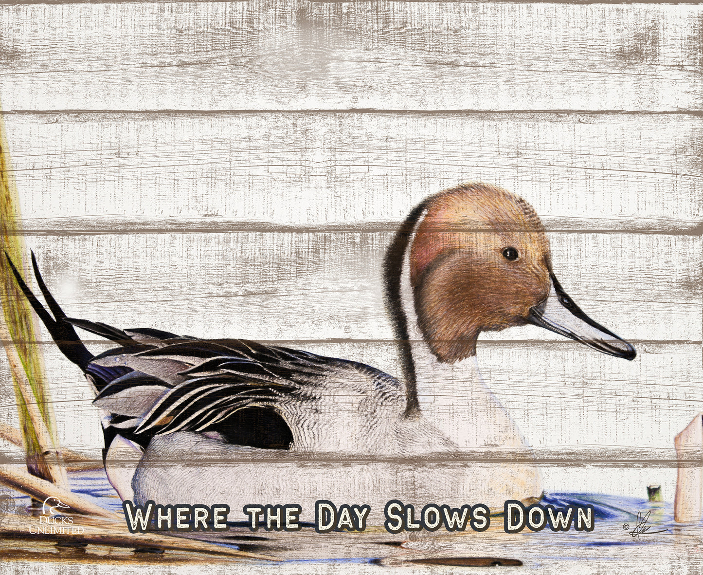 Pintail "Where the Day Slows Down."  18" x 22" Pallet Wall Art - Official Ducks Unlimited Art