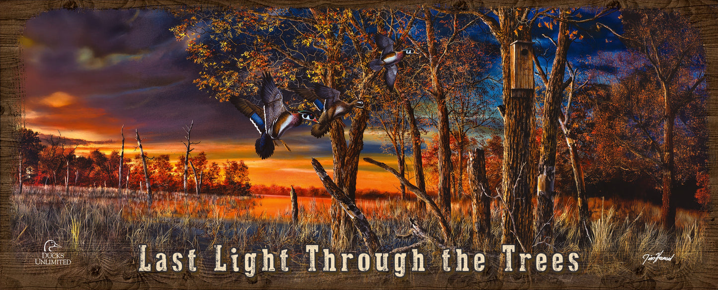 Return to the Refuge "Last Light Through the Trees."  12" x 30" Wood Sign - Official Ducks Unlimited Art