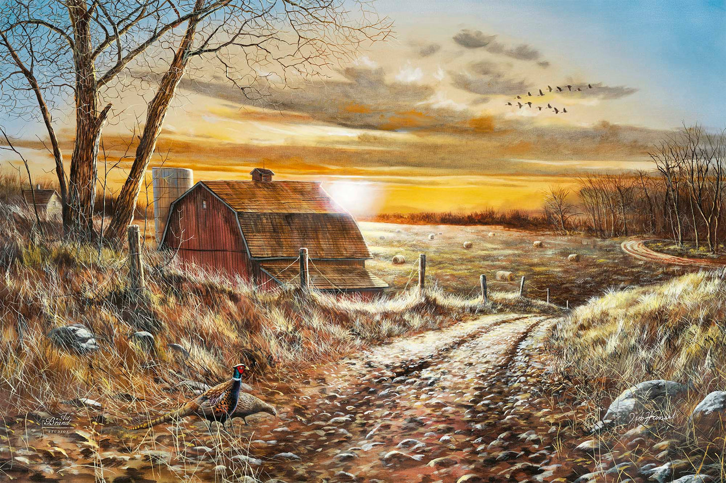 A Road Less Traveled - Limited Edition Canvas