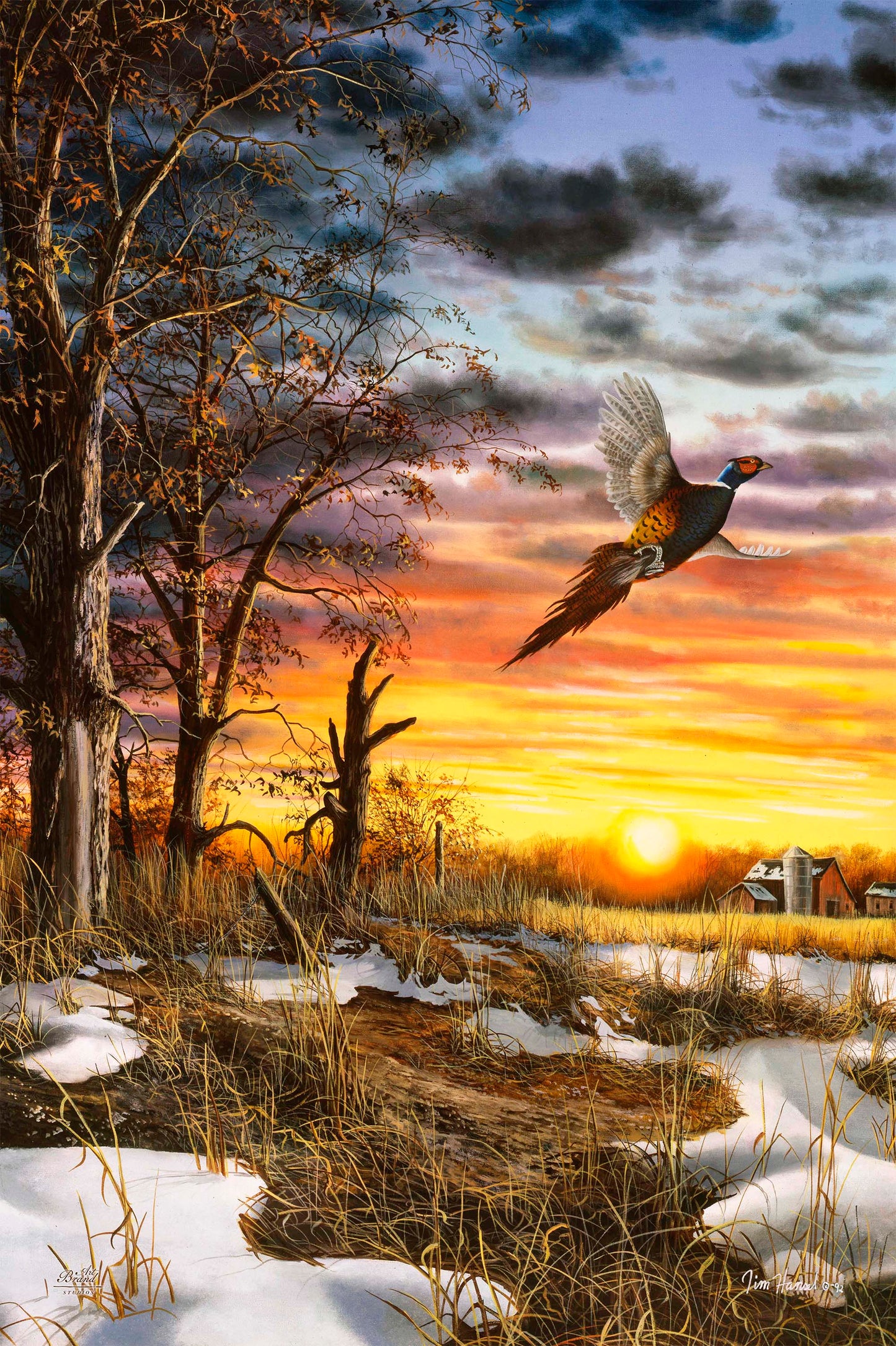 Autumn Ringneck - Limited Edition Canvas