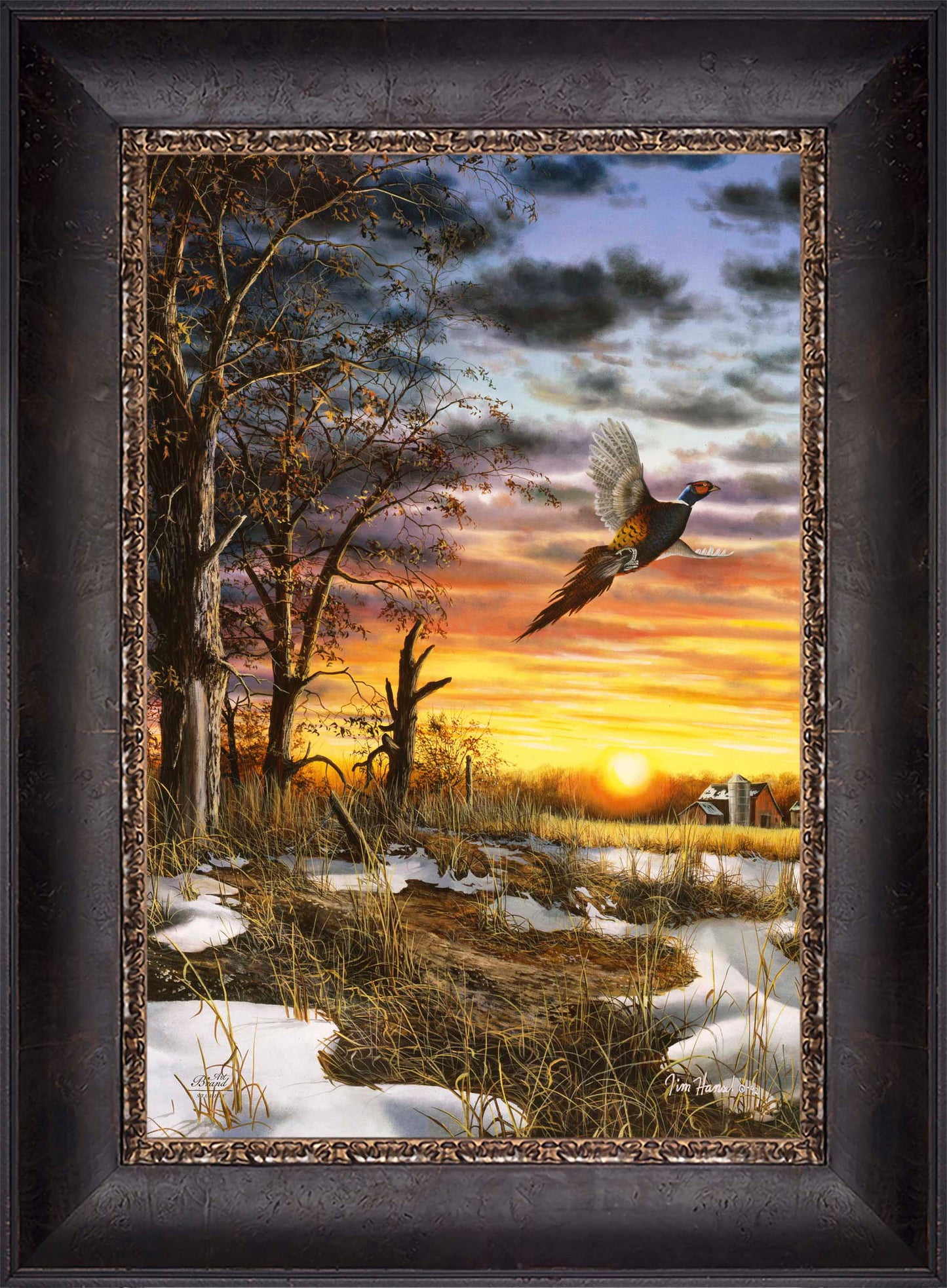 Autumn Ringneck - Limited Edition Canvas