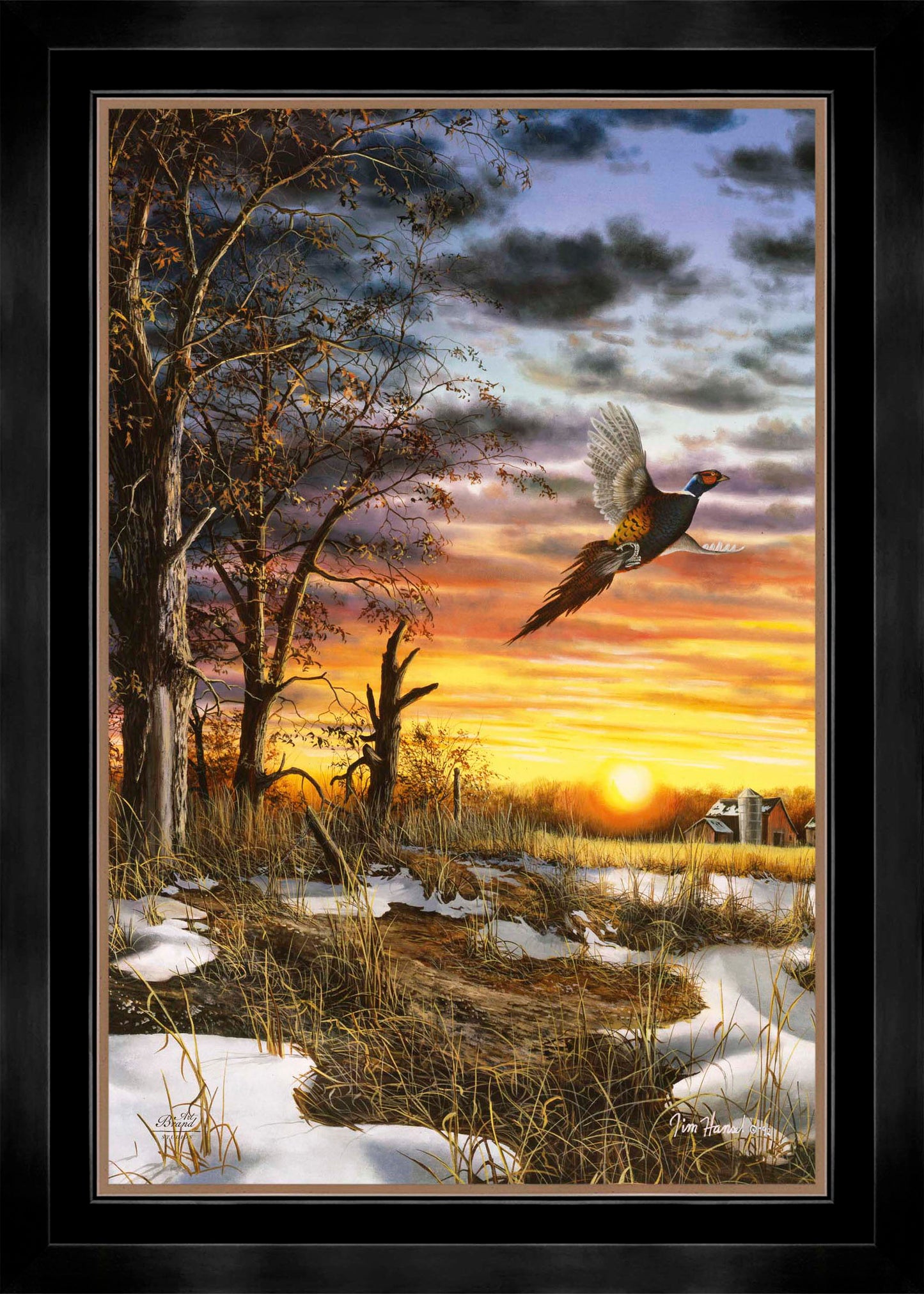 Autumn Ringneck - Limited Edition Canvas