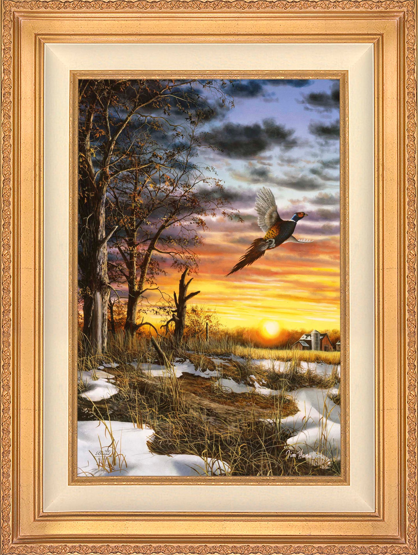 Autumn Ringneck - Limited Edition Canvas