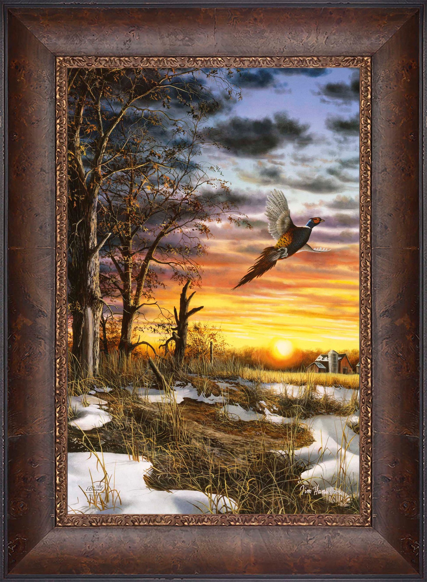 Autumn Ringneck - Limited Edition Canvas
