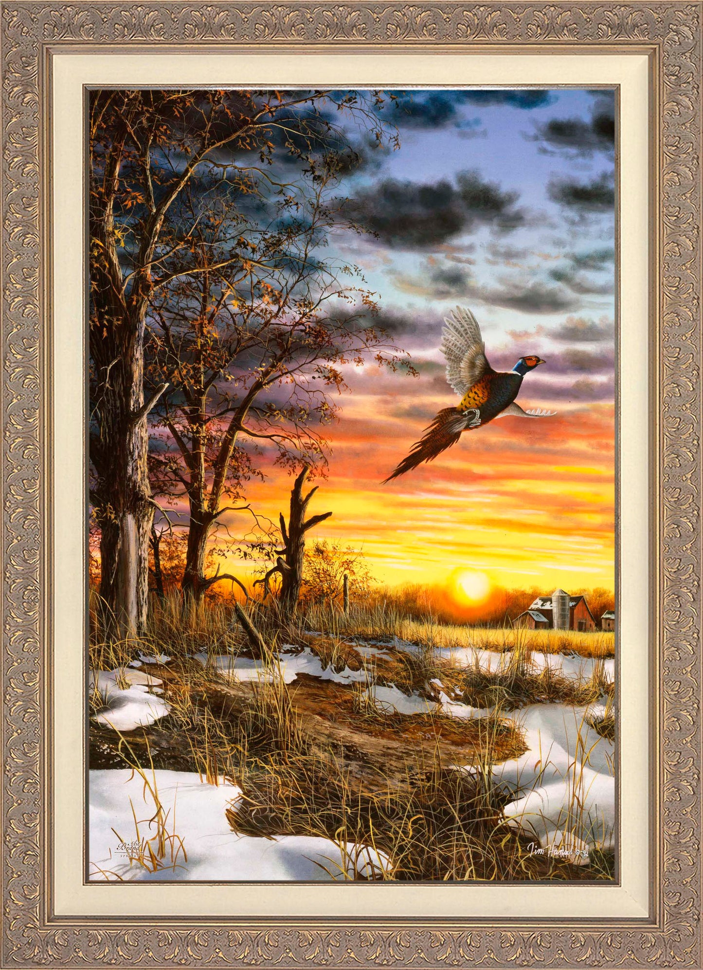Autumn Ringneck - Limited Edition Canvas