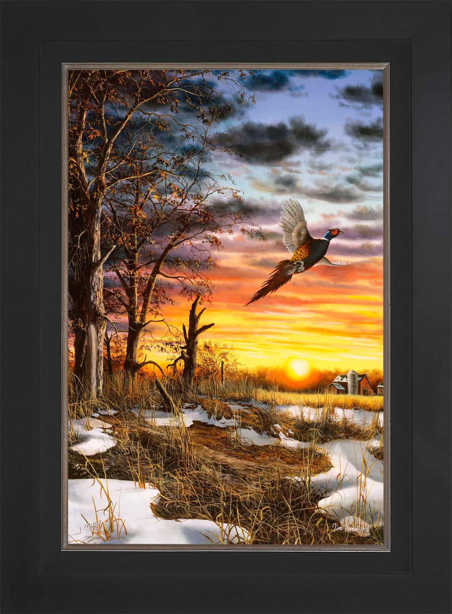 Autumn Ringneck - Limited Edition Canvas