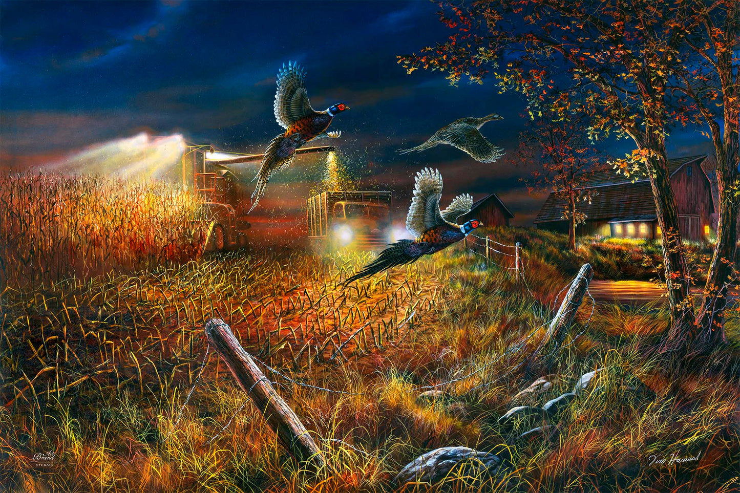 Field Of Dreams - Limited Edition Canvas