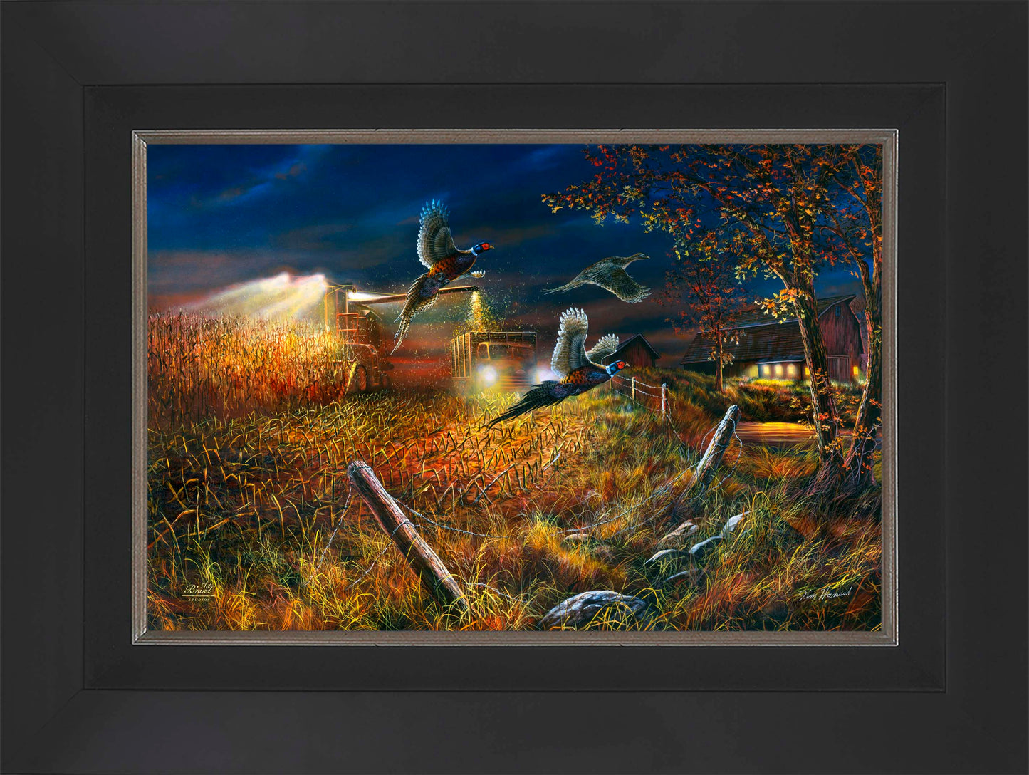 Field Of Dreams - Limited Edition Canvas