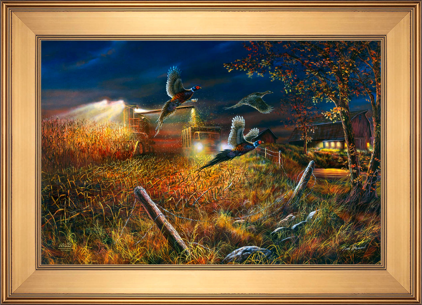 Field Of Dreams - Limited Edition Canvas