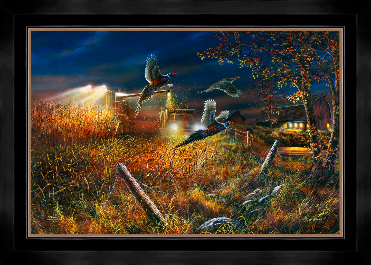 Field Of Dreams - Limited Edition Canvas