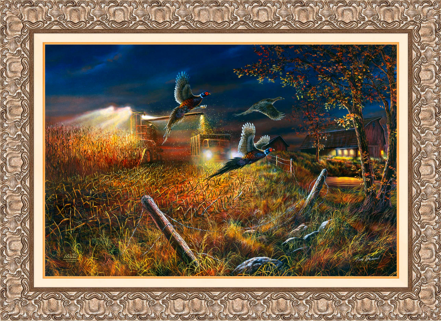 Field Of Dreams - Limited Edition Canvas