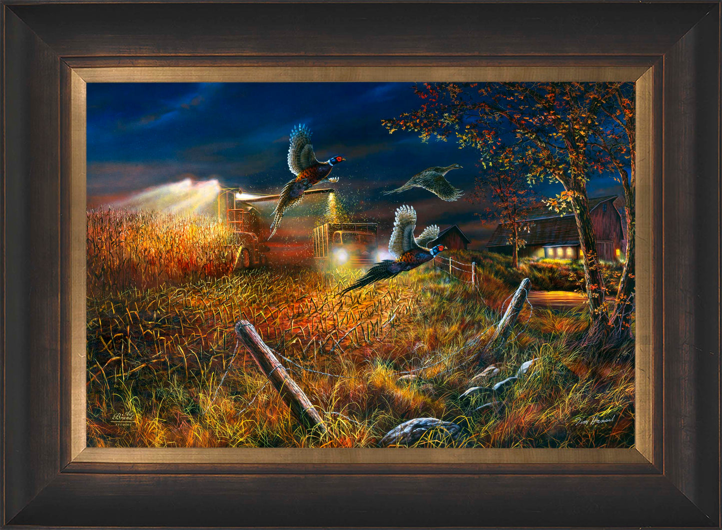 Field Of Dreams - Limited Edition Canvas