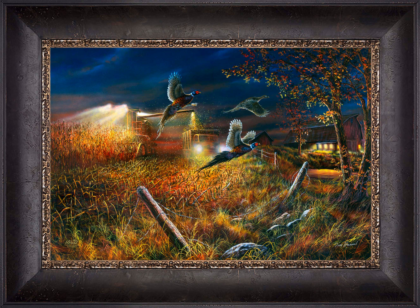 Field Of Dreams - Limited Edition Canvas