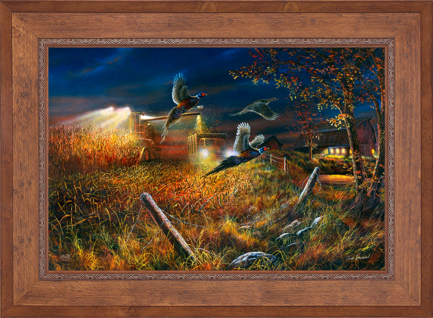 Field Of Dreams - Limited Edition Canvas